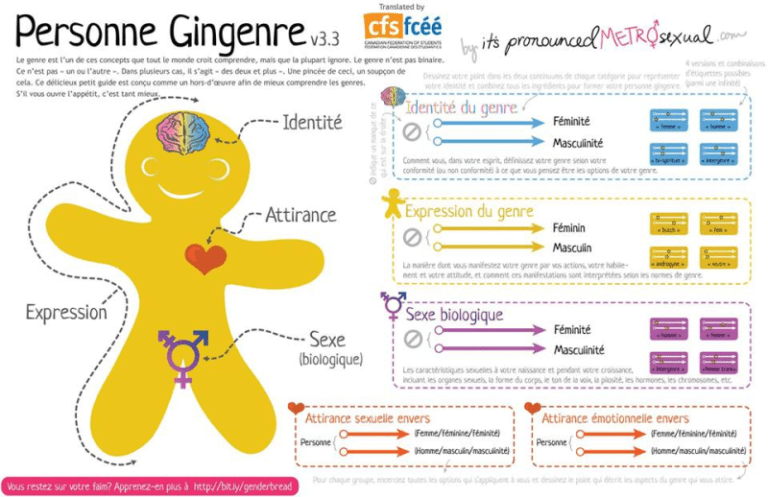  La  personne gingenre ou la licorne du genre  L R des 