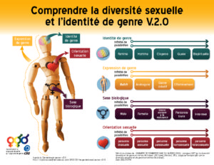 Comprendre la diversité sexuelle et l’identité de genre – L’R des ...